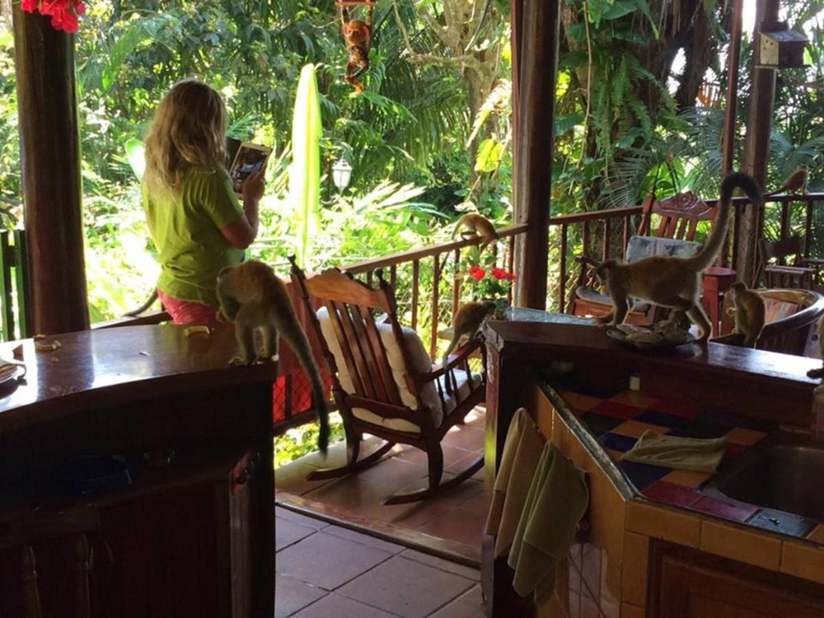 Manuel Antonio Park House - Adults Only Exterior photo