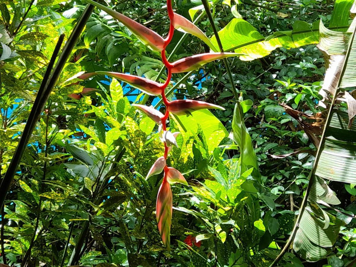 Manuel Antonio Park House - Adults Only Exterior photo