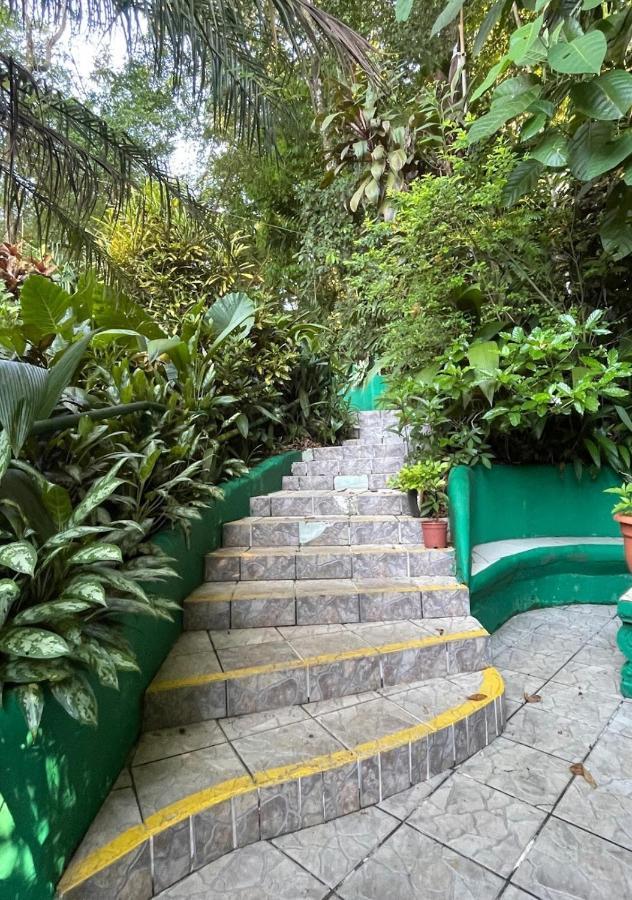 Manuel Antonio Park House - Adults Only Exterior photo