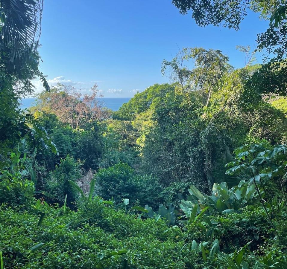 Manuel Antonio Park House - Adults Only Exterior photo
