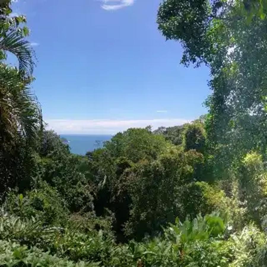 Manuel Antonio Park House - Adults Only Exterior photo
